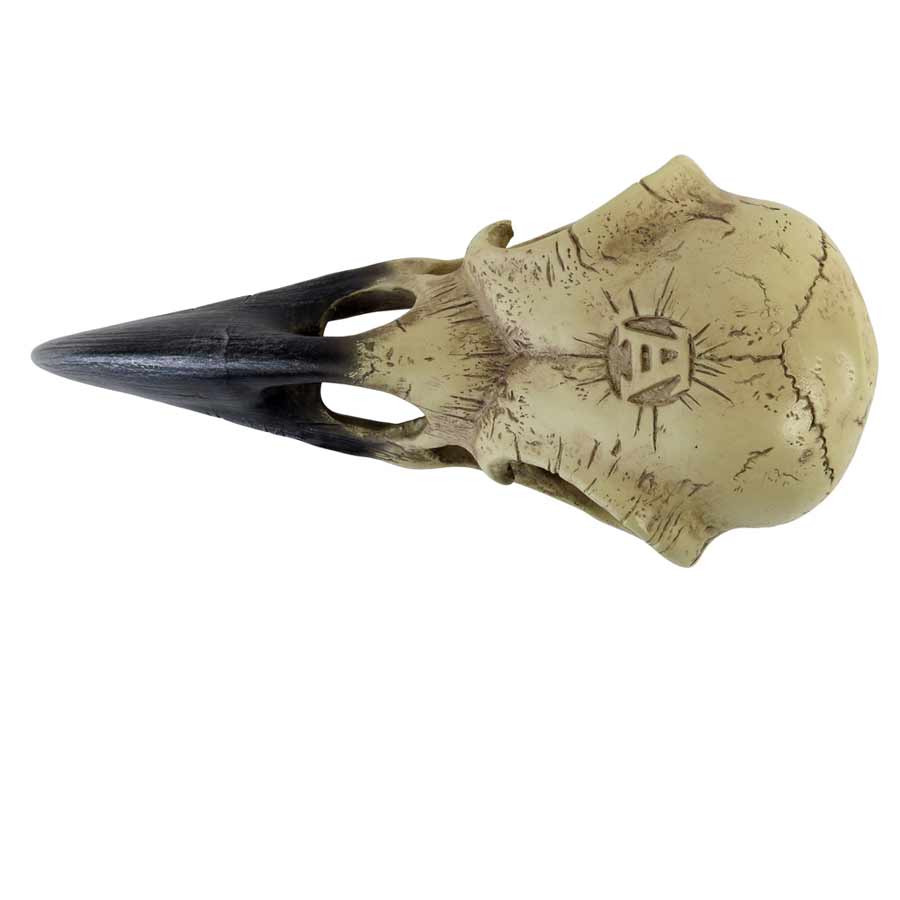 Alchemy Gothic Corvus Alchemia Raven Skull 6.5" Long V16