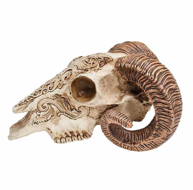 Alchemy Gothic Resin Scrimshaw Ram Skull V53