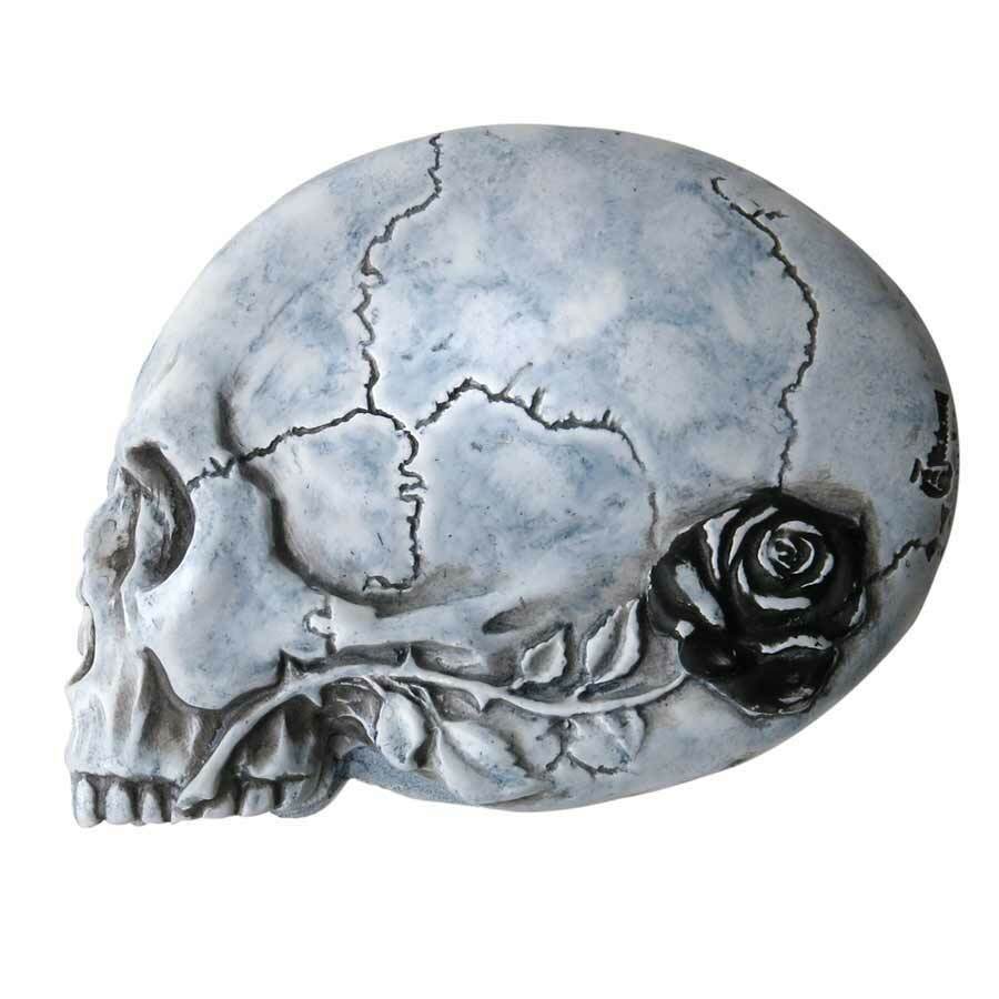 Alchemy Gothic Nevermore Skull Raven Compact Mirror V27