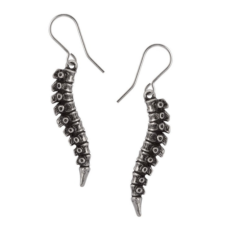 Pair of silver spine-shaped earrings on a white background