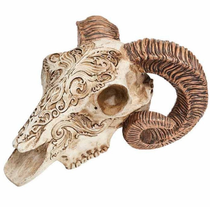 Alchemy Gothic Resin Scrimshaw Ram Skull V53