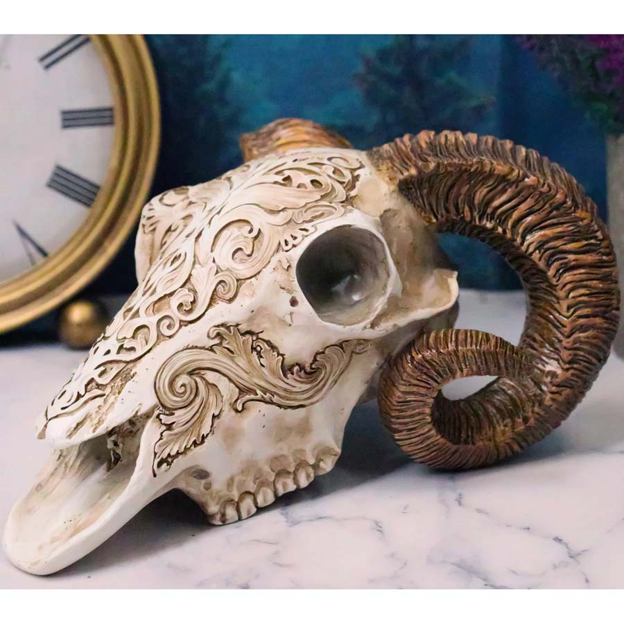 Alchemy Gothic Resin Scrimshaw Ram Skull V53