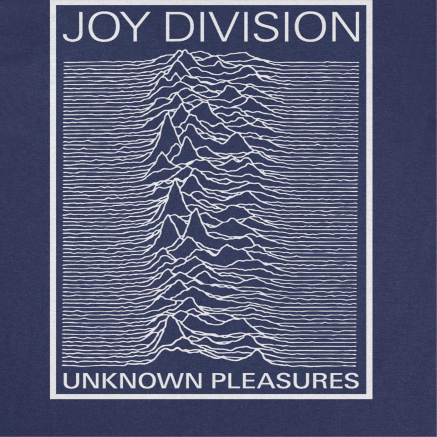 Joy Division Unknown Pleasures Frame T-Shirt